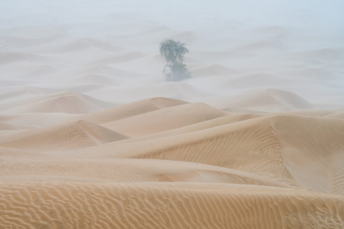 Oman Fotoreise. Dünengebiet aus weissem Sand direkt am Meer