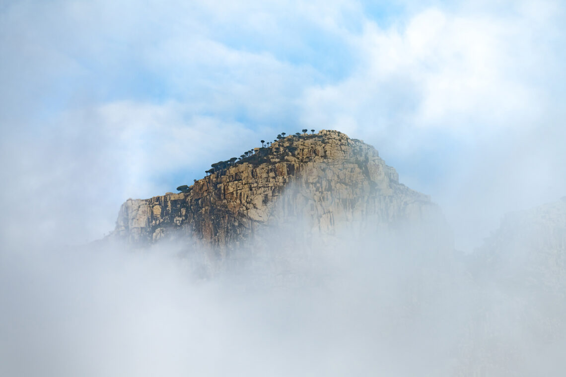 Fotografie Reise Socotra, Dixam Plateau, Heimat des Drachenblutbaums