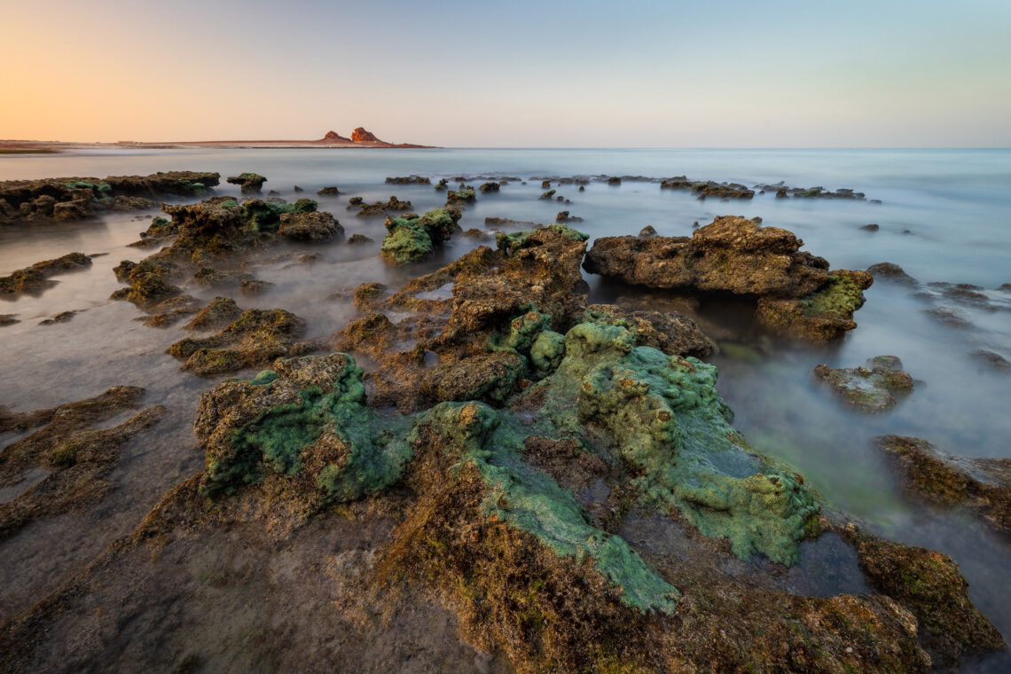 Fotografie Reise Socotra - Inseljuwel im Arabischen Meer zwischen Jemen und Somalia