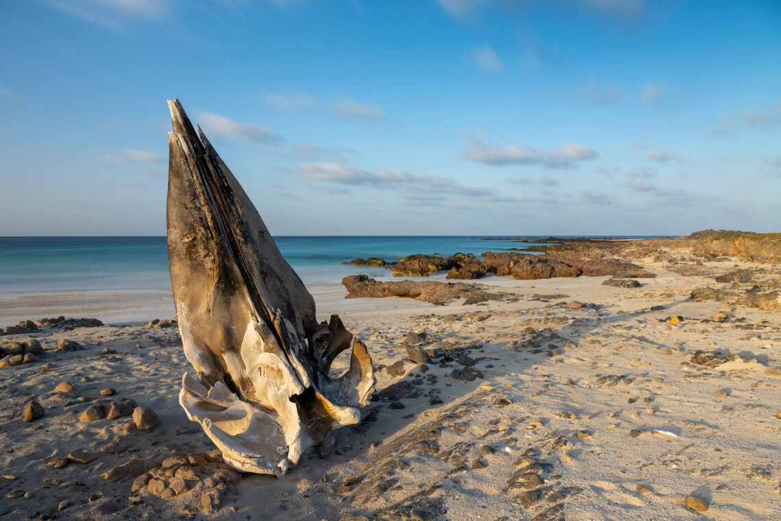 Fotografie Reise Socotra weisse Dünen an der Südküste der Insel