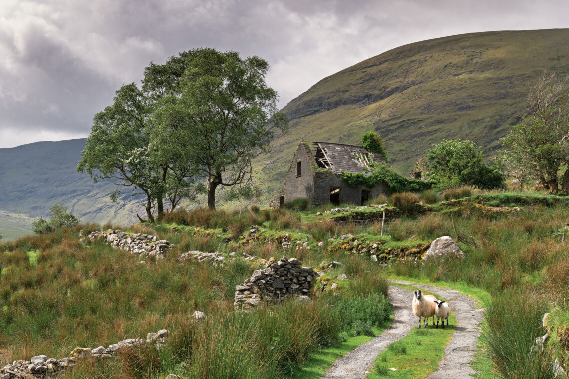 Fotografie Reise Irland der Süden, die fotogene kleine Pine Island im Loch Derryclare