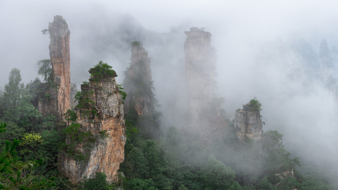 Auf den Spuren von Avatar 08. bis 23. Oktober 2026